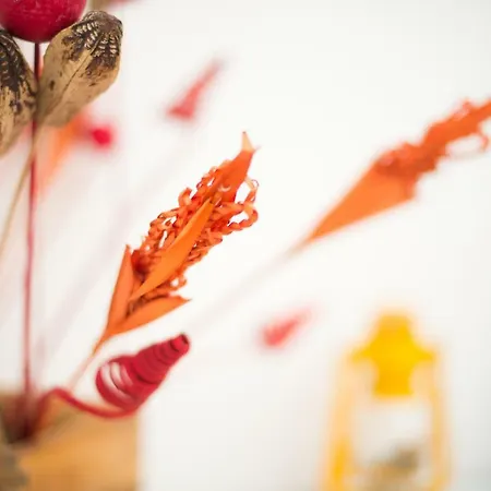 Guest Art Oda ve Kahvaltı